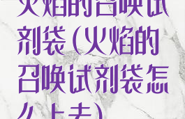 火焰的召唤试剂袋(火焰的召唤试剂袋怎么上去)