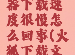 火狐浏览器下载速度很慢怎么回事(火狐下载文件慢)