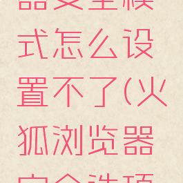 火狐浏览器安全模式怎么设置不了(火狐浏览器安全选项怎么设置)