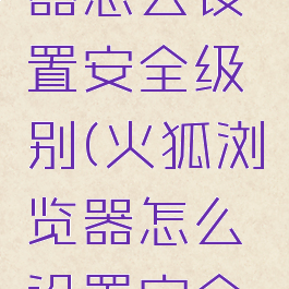 火狐浏览器怎么设置安全级别(火狐浏览器怎么设置安全级别显示)