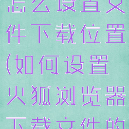 火狐浏览器怎么设置文件下载位置(如何设置火狐浏览器下载文件的路径)