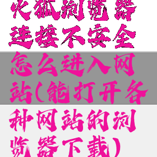 火狐浏览器连接不安全怎么进入网站(能打开各种网站的浏览器下载)