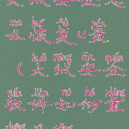 火绒安全怎么恢复u盘(火绒安全软件如何重装系统)