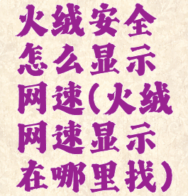 火绒安全怎么显示网速(火绒网速显示在哪里找)