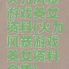 火力风暴游戏美女资料(火力风暴游戏美女资料全集)