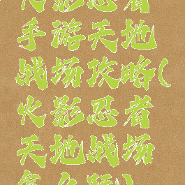 火影忍者手游天地战场攻略(火影忍者天地战场怎么玩)