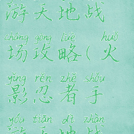 火影忍者手游天地战场攻略(火影忍者手游天地战场玩法)