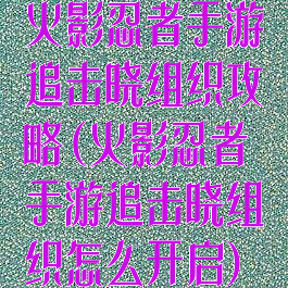 火影忍者手游追击晓组织攻略(火影忍者手游追击晓组织怎么开启)
