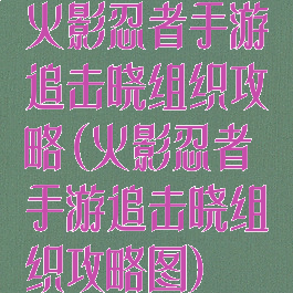 火影忍者手游追击晓组织攻略(火影忍者手游追击晓组织攻略图)
