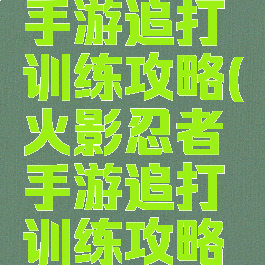 火影忍者手游追打训练攻略(火影忍者手游追打训练攻略大全)