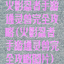 火影忍者手游通灵兽完全攻略(火影忍者手游通灵兽完全攻略图片)