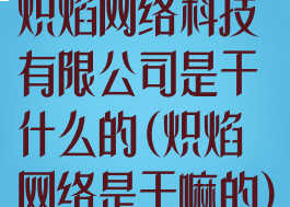 炽焰网络科技有限公司是干什么的(炽焰网络是干嘛的)