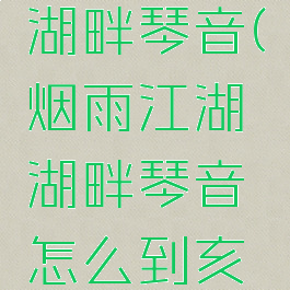 烟雨江湖湖畔琴音(烟雨江湖湖畔琴音怎么到亥时)