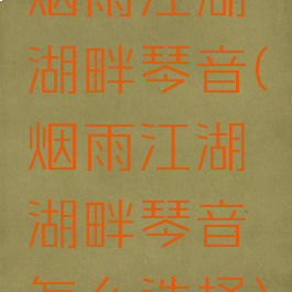 烟雨江湖湖畔琴音(烟雨江湖湖畔琴音怎么选择)