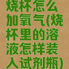 烧杯怎么加氧气(烧杯里的溶液怎样装入试剂瓶)