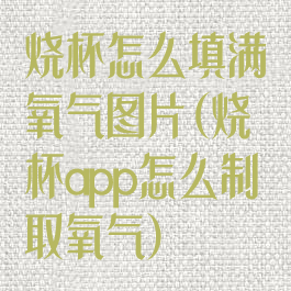 烧杯怎么填满氧气图片(烧杯app怎么制取氧气)