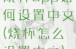 烧杯app如何设置中文(烧杯怎么设置中文)