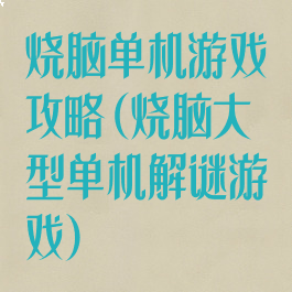 烧脑单机游戏攻略(烧脑大型单机解谜游戏)