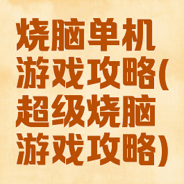 烧脑单机游戏攻略(超级烧脑游戏攻略)