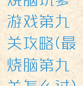 烧脑坑爹游戏第九关攻略(最囧烧脑第九关怎么过)