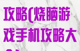 烧脑游戏手机攻略(烧脑游戏手机攻略大全)