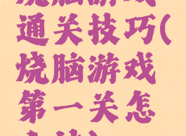 烧脑游戏通关技巧(烧脑游戏第一关怎么过)