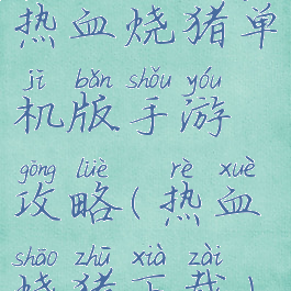 热血烧猪单机版手游攻略(热血烧猪下载)