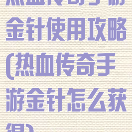 热血传奇手游金针使用攻略(热血传奇手游金针怎么获得)
