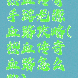 热血传奇手游龙源血路攻略(热血传奇血路怎么跑)