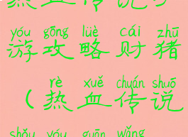 热血传说手游攻略财猪(热血传说手游官网)