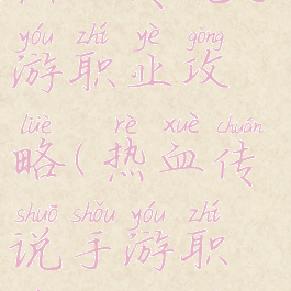 热血传说手游职业攻略(热血传说手游职业攻略图)