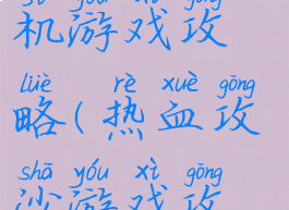 热血沙城单机游戏攻略(热血攻沙游戏攻略)