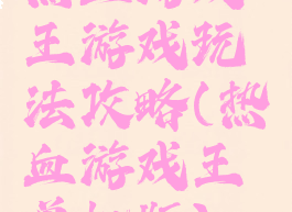 热血游戏王游戏玩法攻略(热血游戏王单机版)