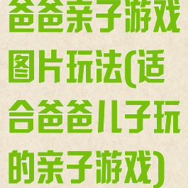 爸爸亲子游戏图片玩法(适合爸爸儿子玩的亲子游戏)