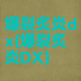 爆裂炙炎dx(爆裂炙炎DX)