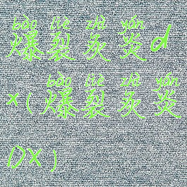 爆裂炙炎dx(爆裂炙炎DX)