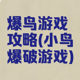 爆鸟游戏攻略(小鸟爆破游戏)