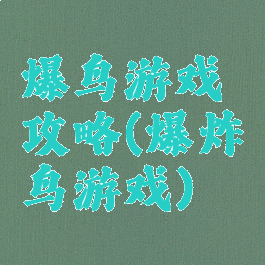 爆鸟游戏攻略(爆炸鸟游戏)