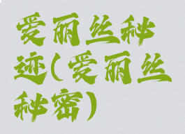 爱丽丝秘迹(爱丽丝秘密)