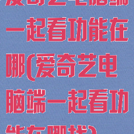 爱奇艺电脑端一起看功能在哪(爱奇艺电脑端一起看功能在哪找)