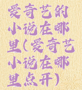 爱奇艺的小说在哪里(爱奇艺小说在哪里点开)