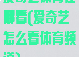 爱奇艺体育在哪看(爱奇艺怎么看体育频道)