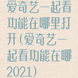 爱奇艺一起看功能在哪里打开(爱奇艺一起看功能在哪2021)