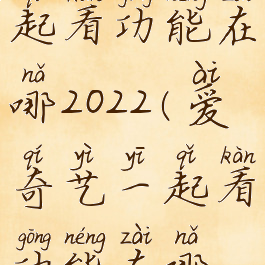 爱奇艺一起看功能在哪2022(爱奇艺一起看功能在哪电脑)