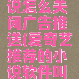爱奇艺小说怎么关闭广告推送(爱奇艺推荐的小说软件叫什么)