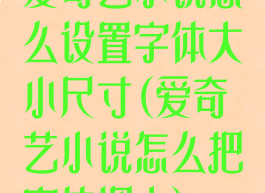 爱奇艺小说怎么设置字体大小尺寸(爱奇艺小说怎么把字体调大)