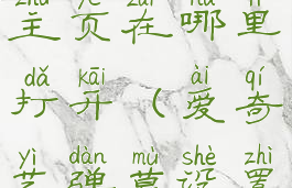 爱奇艺弹幕主页在哪里打开(爱奇艺弹幕设置在哪里)