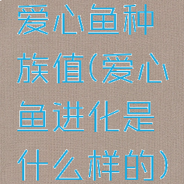 爱心鱼种族值(爱心鱼进化是什么样的)