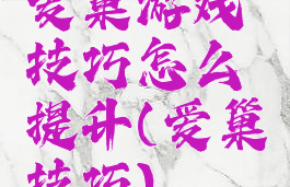爱巢游戏技巧怎么提升(爱巢技巧)