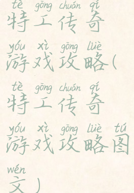 特工传奇游戏攻略(特工传奇游戏攻略图文)